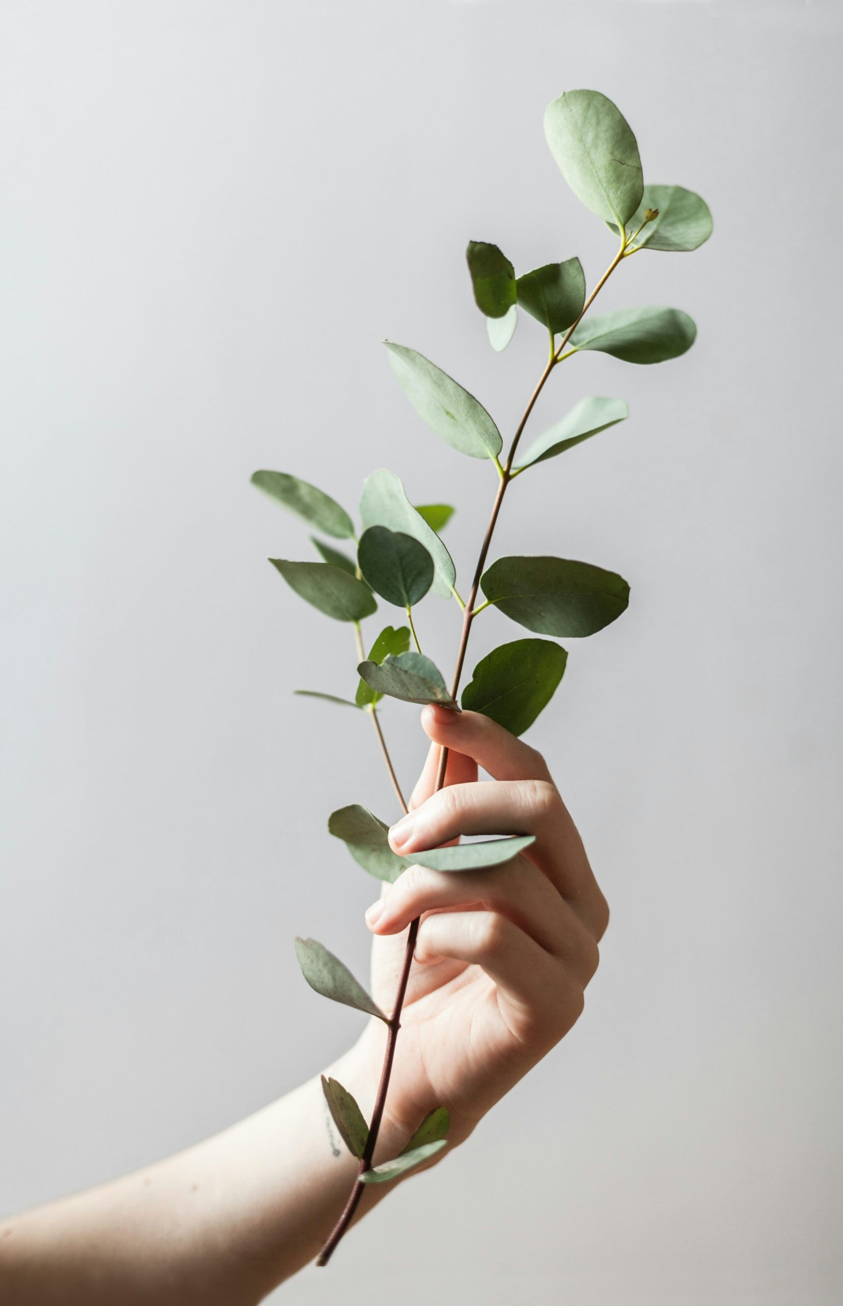 alex-lvrs-4N5huJDOydQ-unsplash