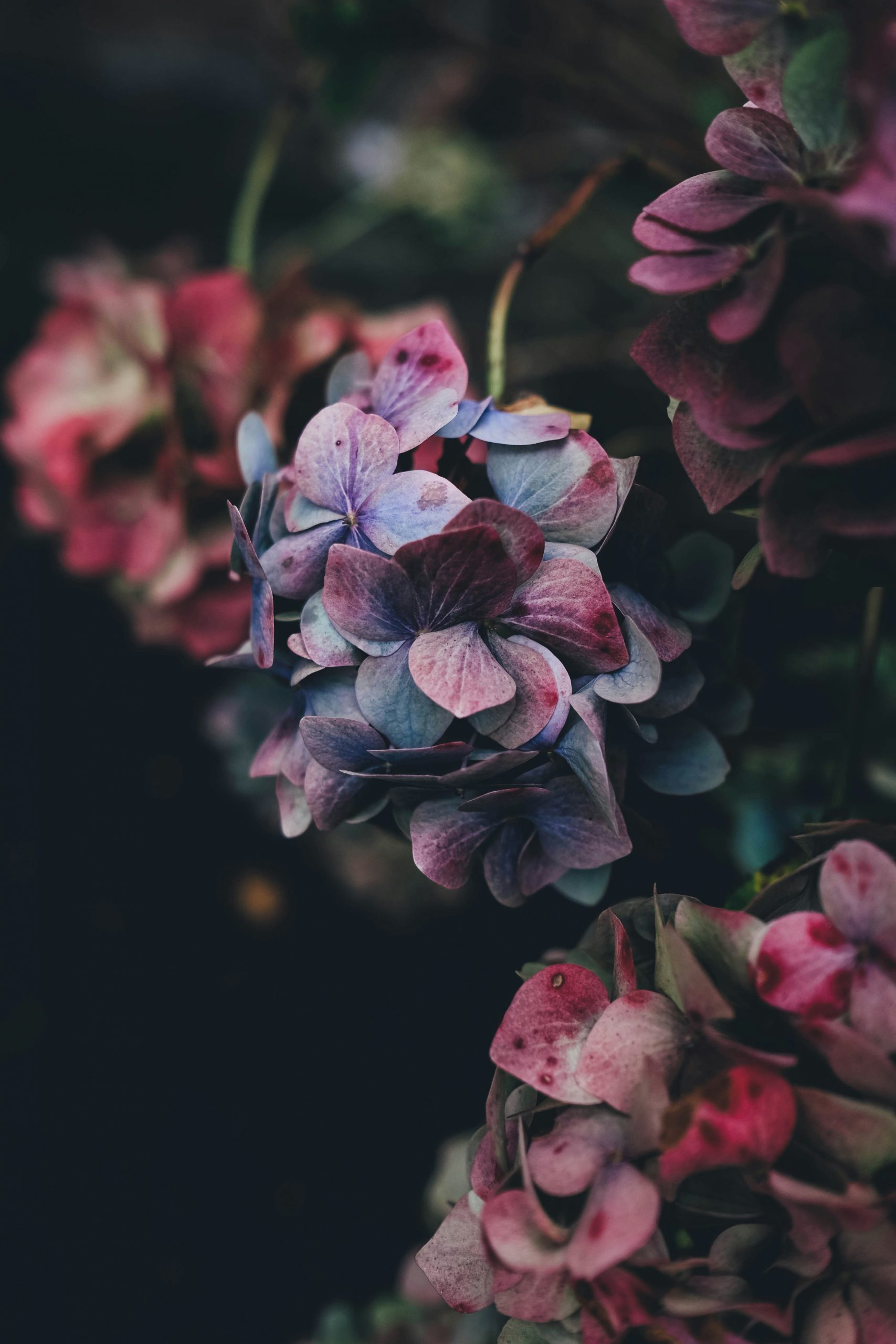 annie-spratt-vs6a4EHj_Ro-unsplash